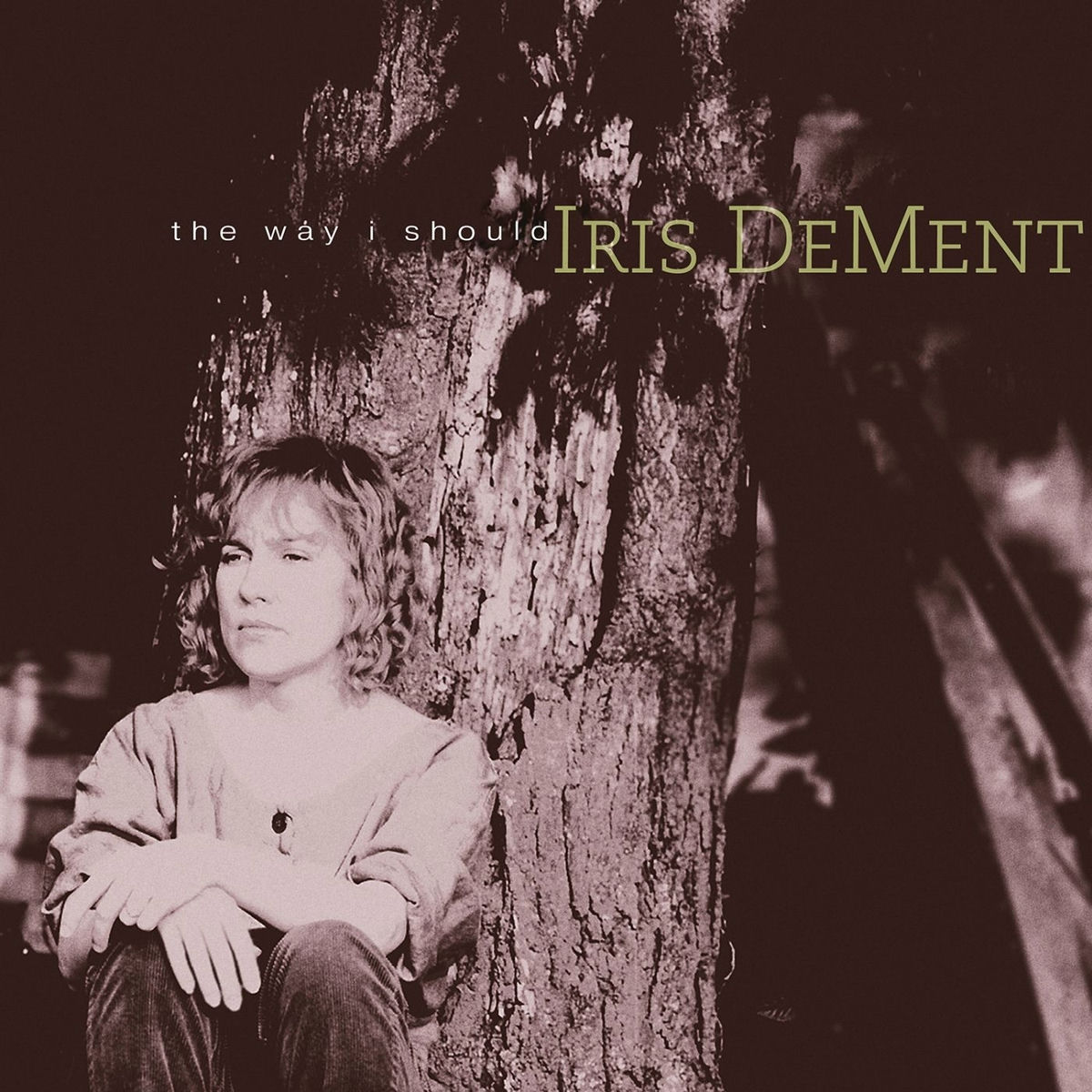 Album cover of Wasteland of the Free