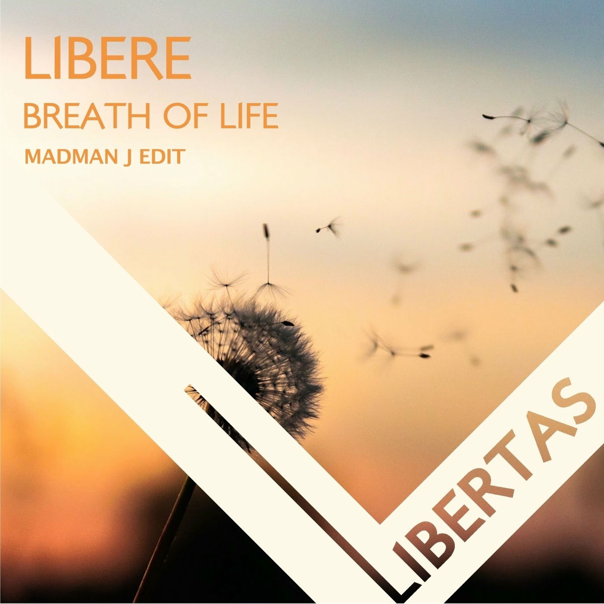 Album cover of Breath Of Life (Madman J Edit)