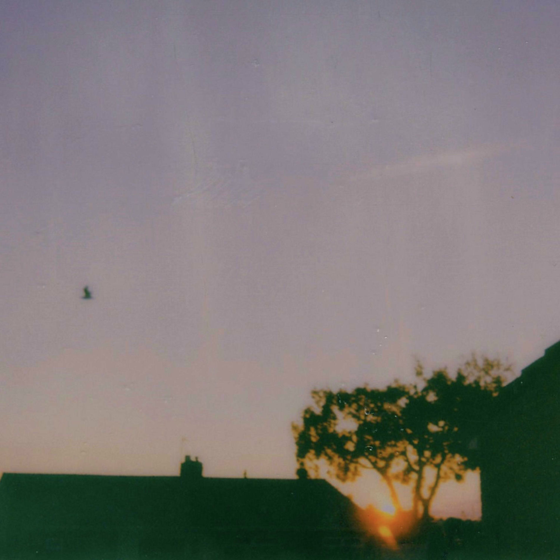 Album cover of you