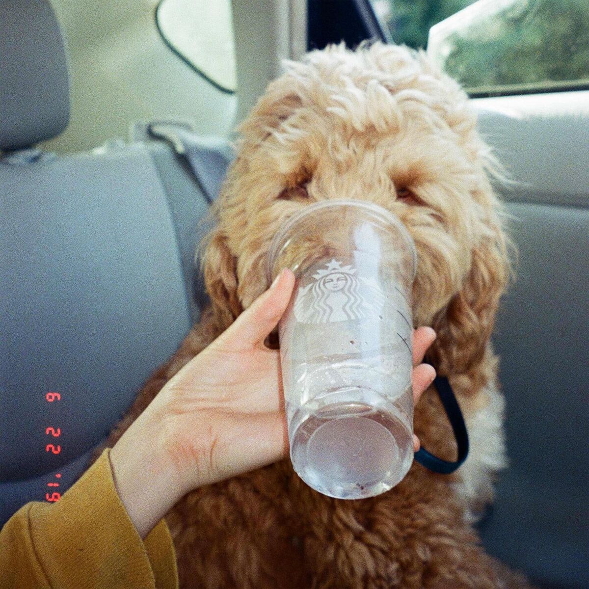Album cover of Oblivion