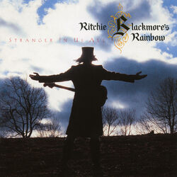 Cover of Stranger In Us All