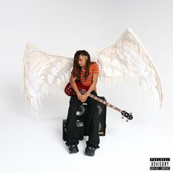 Cover of BANA