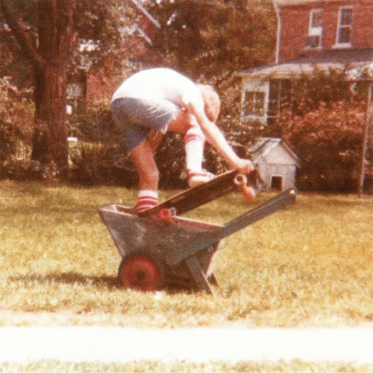 Album cover of Wavves