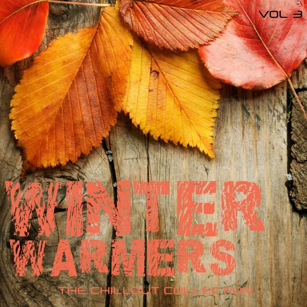 Picture of Winter Warmers - The Chillout Collection, Vol. 3