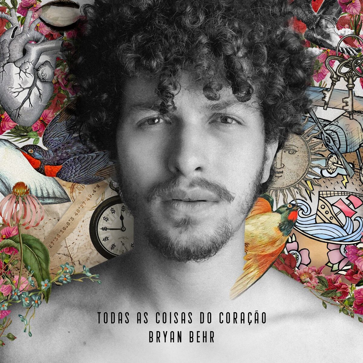 Album cover of diz