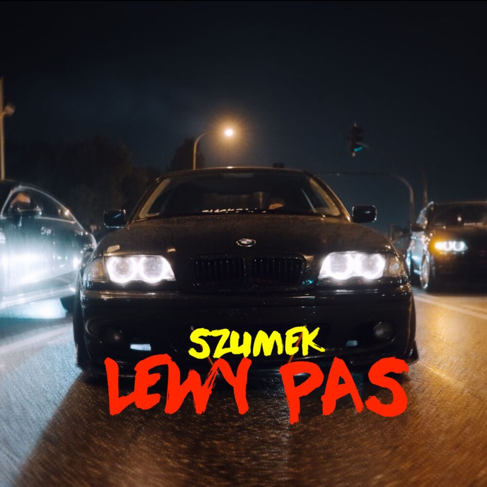 Picture of Lewy Pas