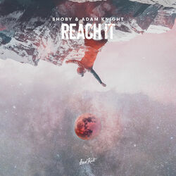 Cover of Reach It