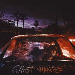 Ghost Wanted
