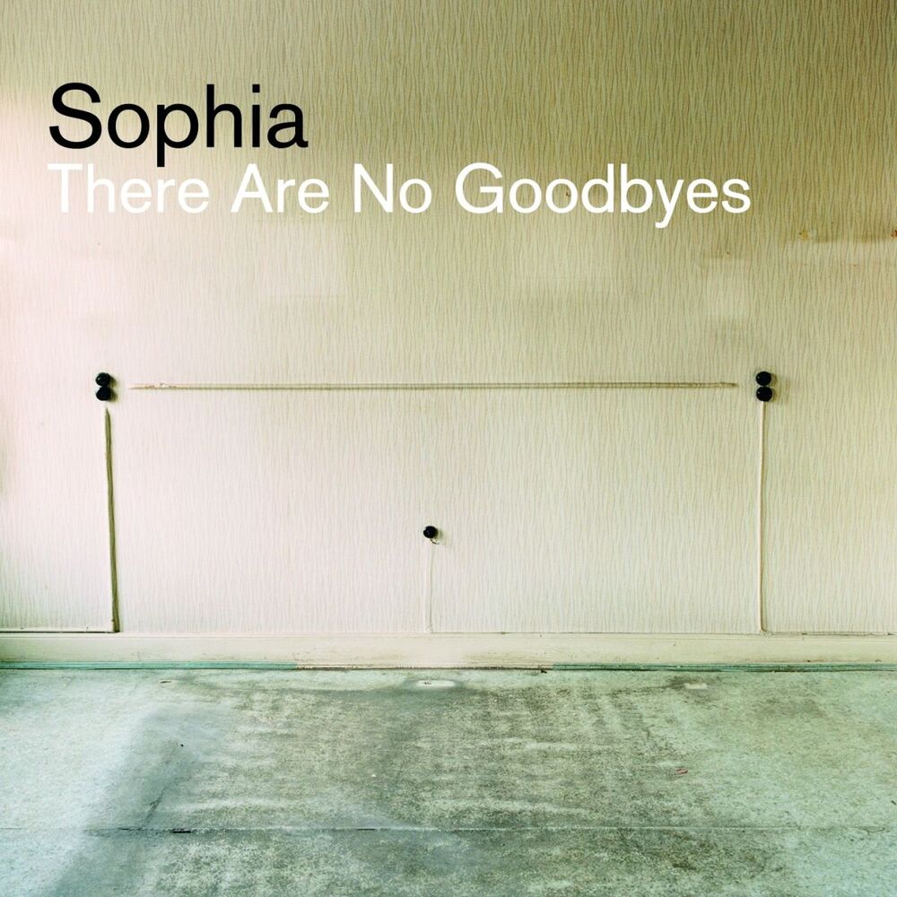 Picture of There are no goodbyes (Radio Edit)