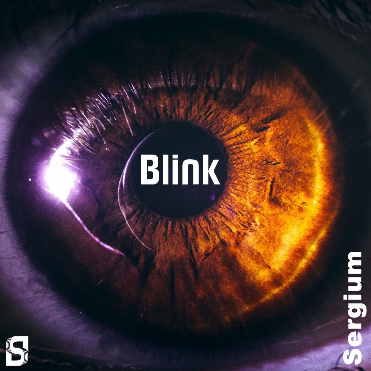 Album cover of Blink