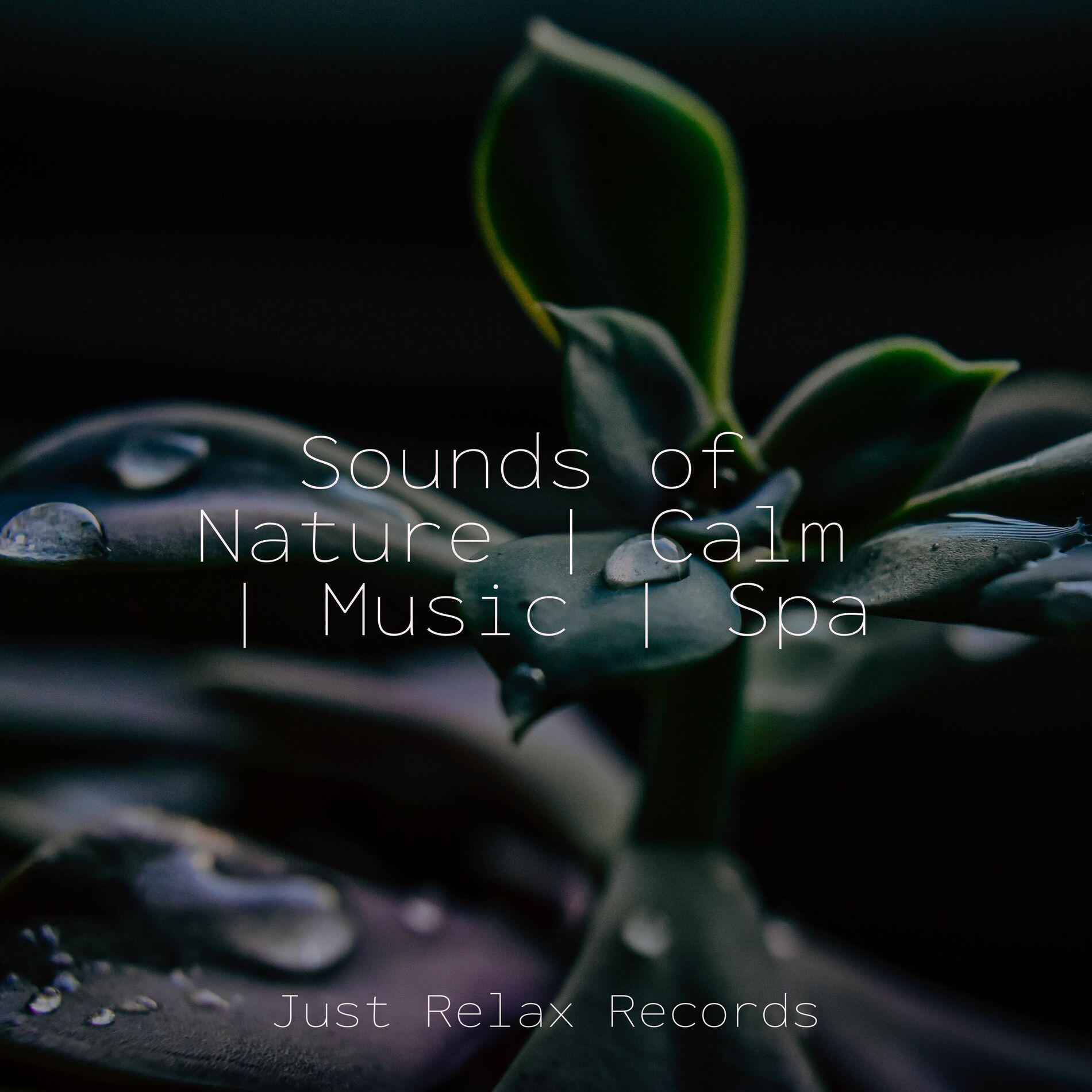 Album cover of Sounds of Nature | Calm | Music | Spa