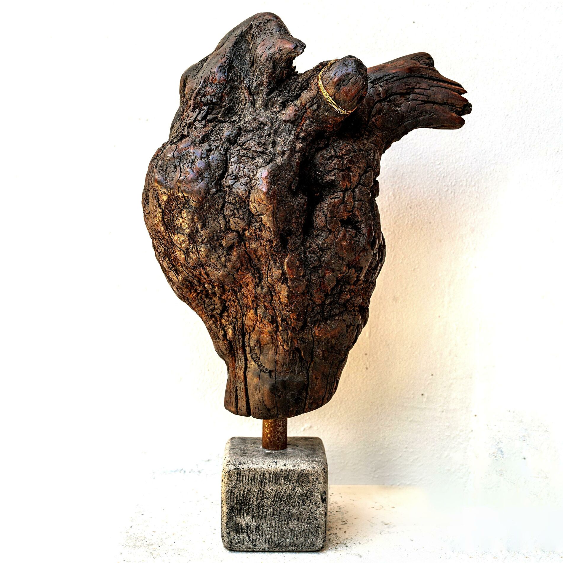 Album cover of Speaking With Trees