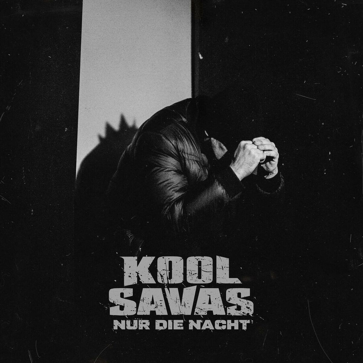 Album cover of Nur die Nacht