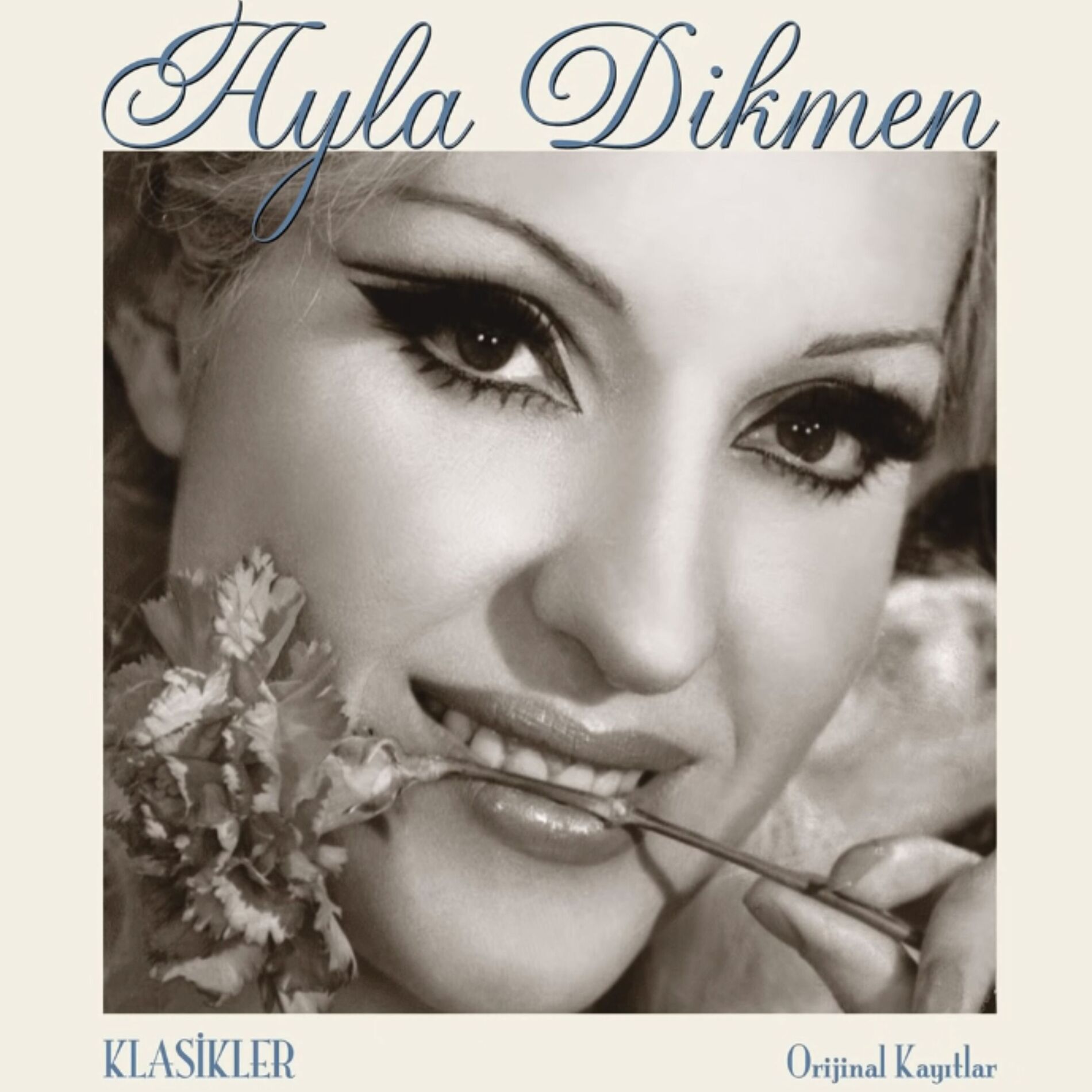 Album cover of Anlamazdın (speed up)