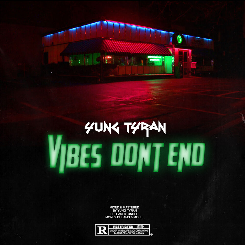 Picture of Vibes Dont End