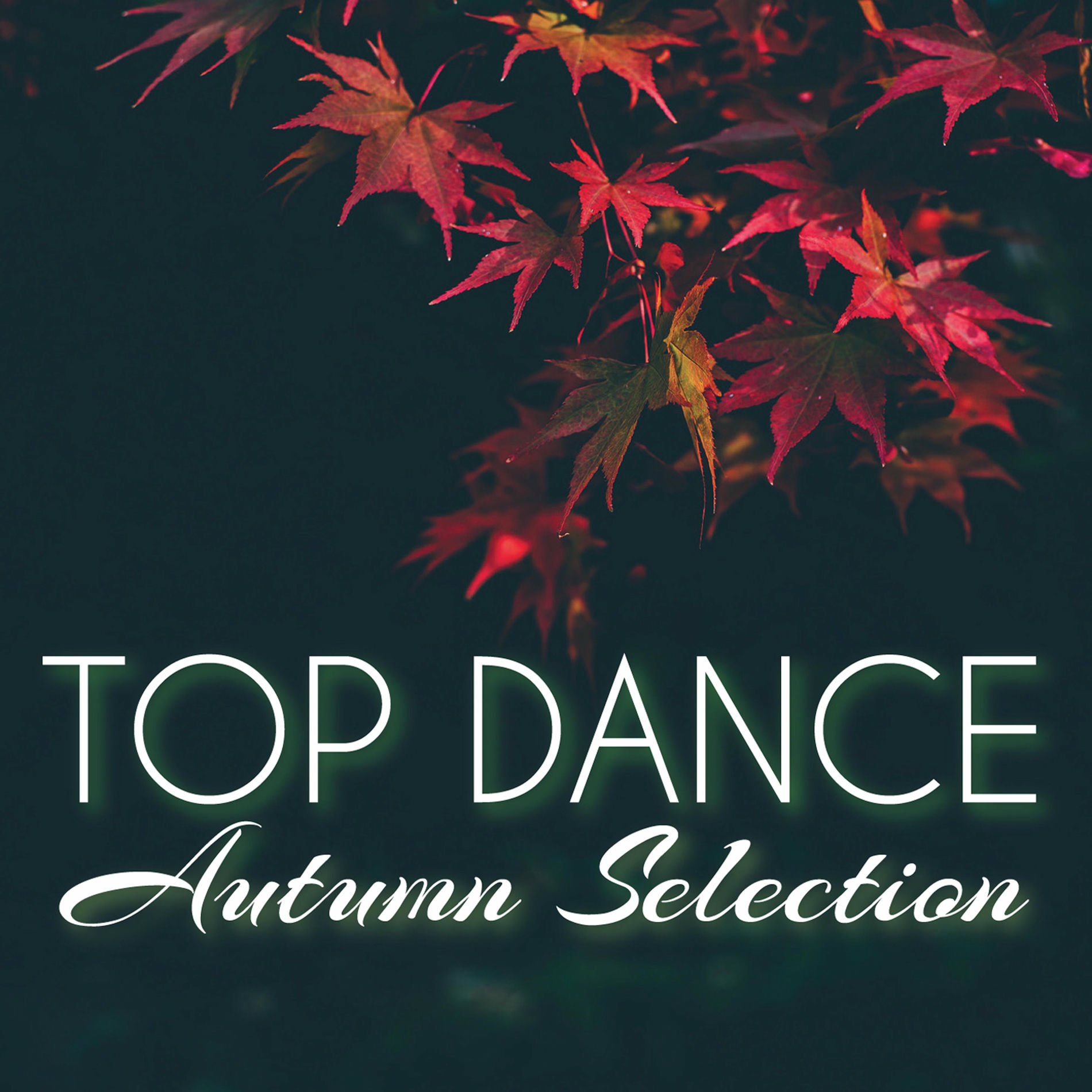 Album cover of Top Dance Autumn Selection (Compilation)