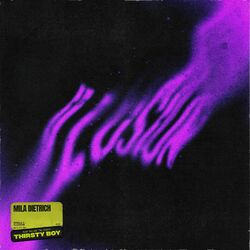 Cover of Illusion