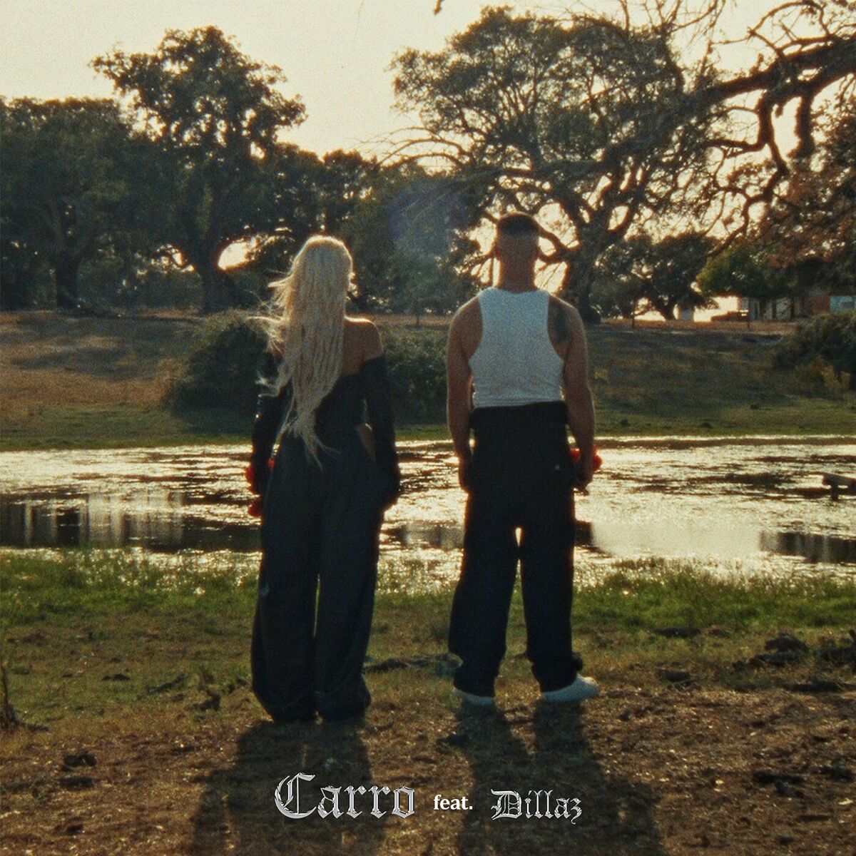 Album cover of Carro (feat. Dillaz)