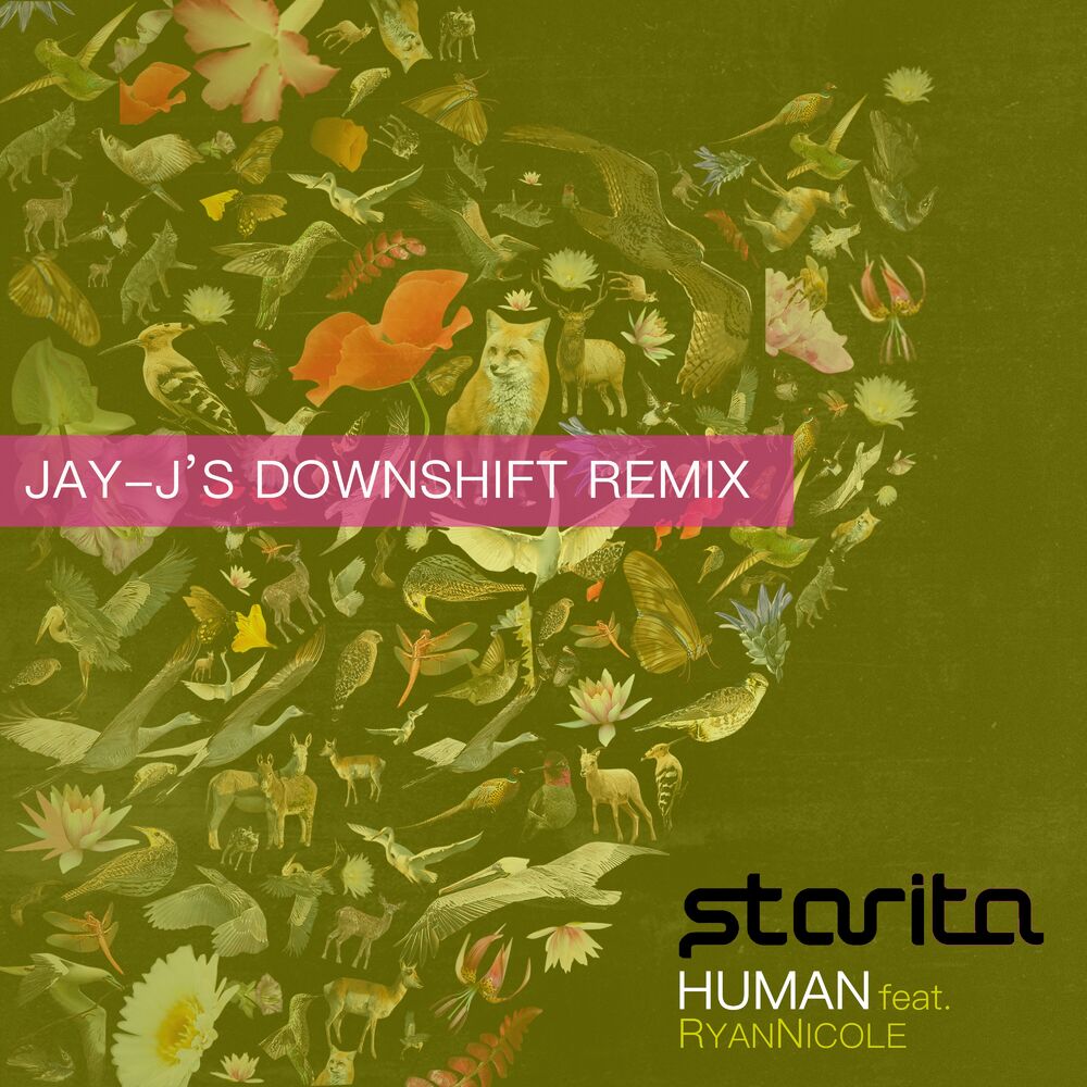 Picture of Human (Jay-J's Downshift Remix)