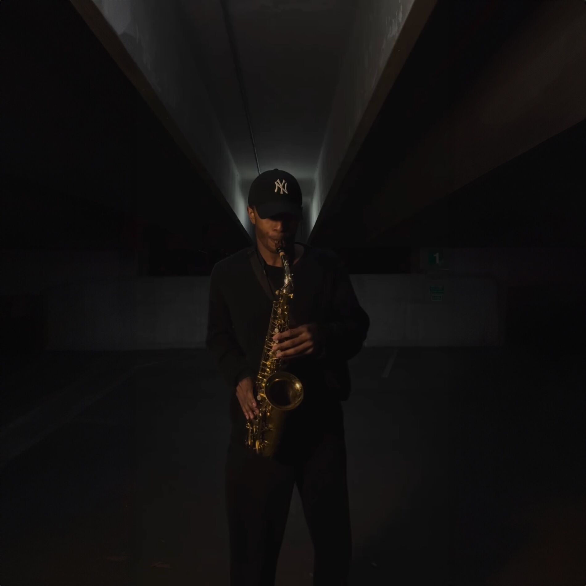 Album cover of Echo Sax Revival (Looped)