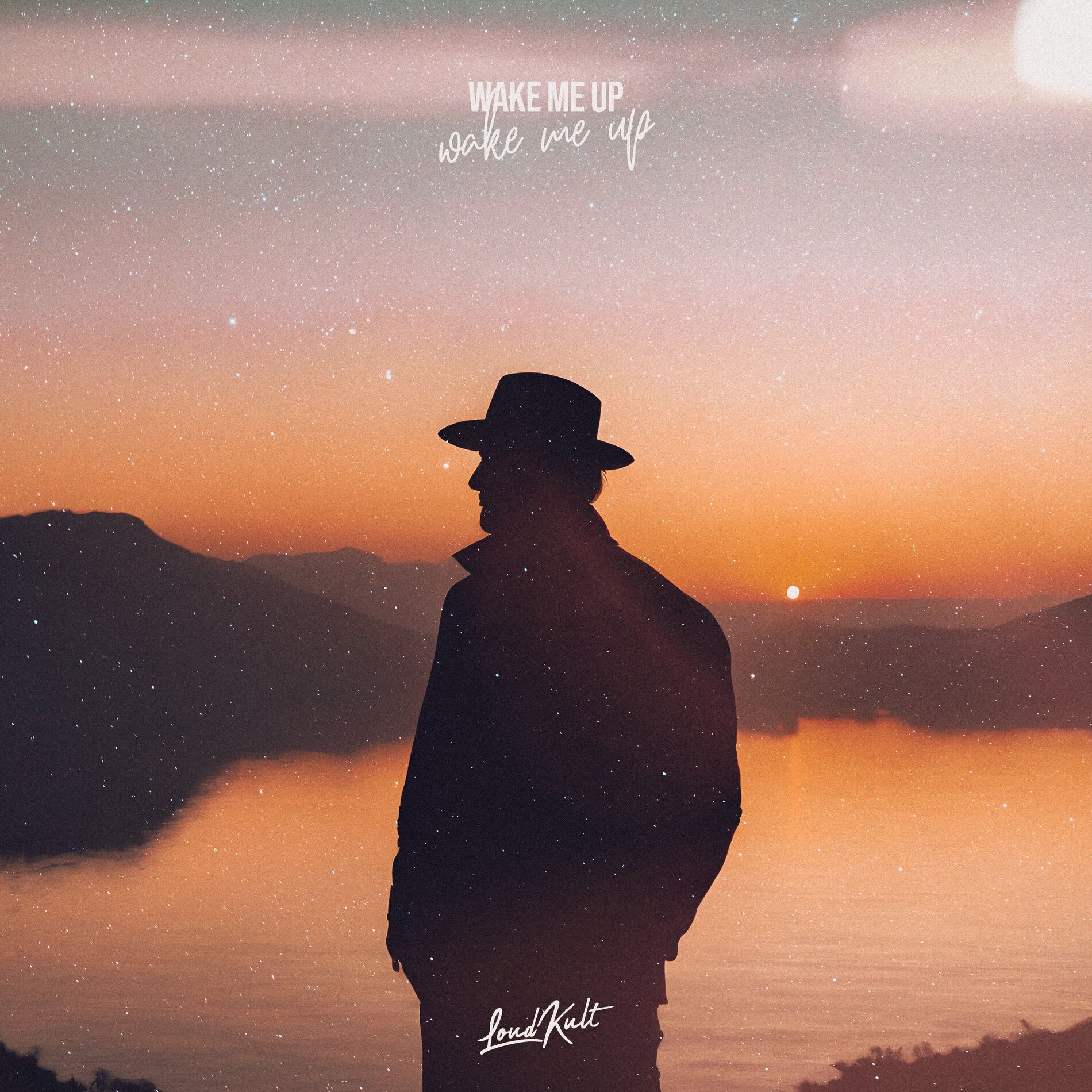 Album cover of Wake Me Up