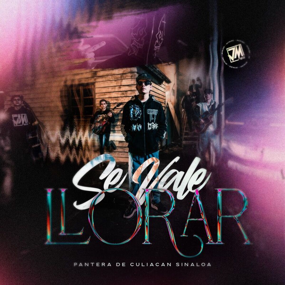 Album cover of Se Vale Llorar