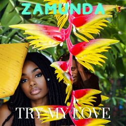 Cover of Try My Love