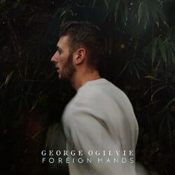 Cover of Foreign Hands