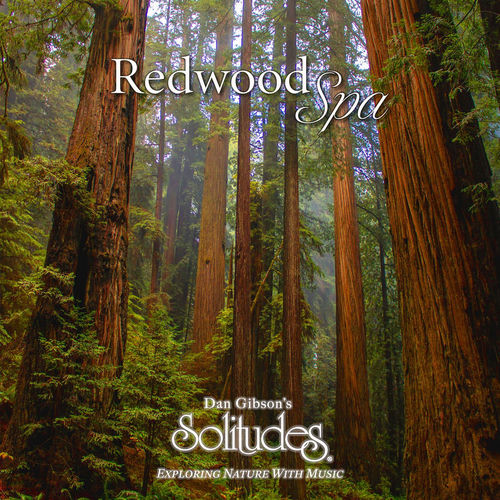 Tranquil Forest by Dan Gibson's Solitudes - 135 BPM & Key N/A