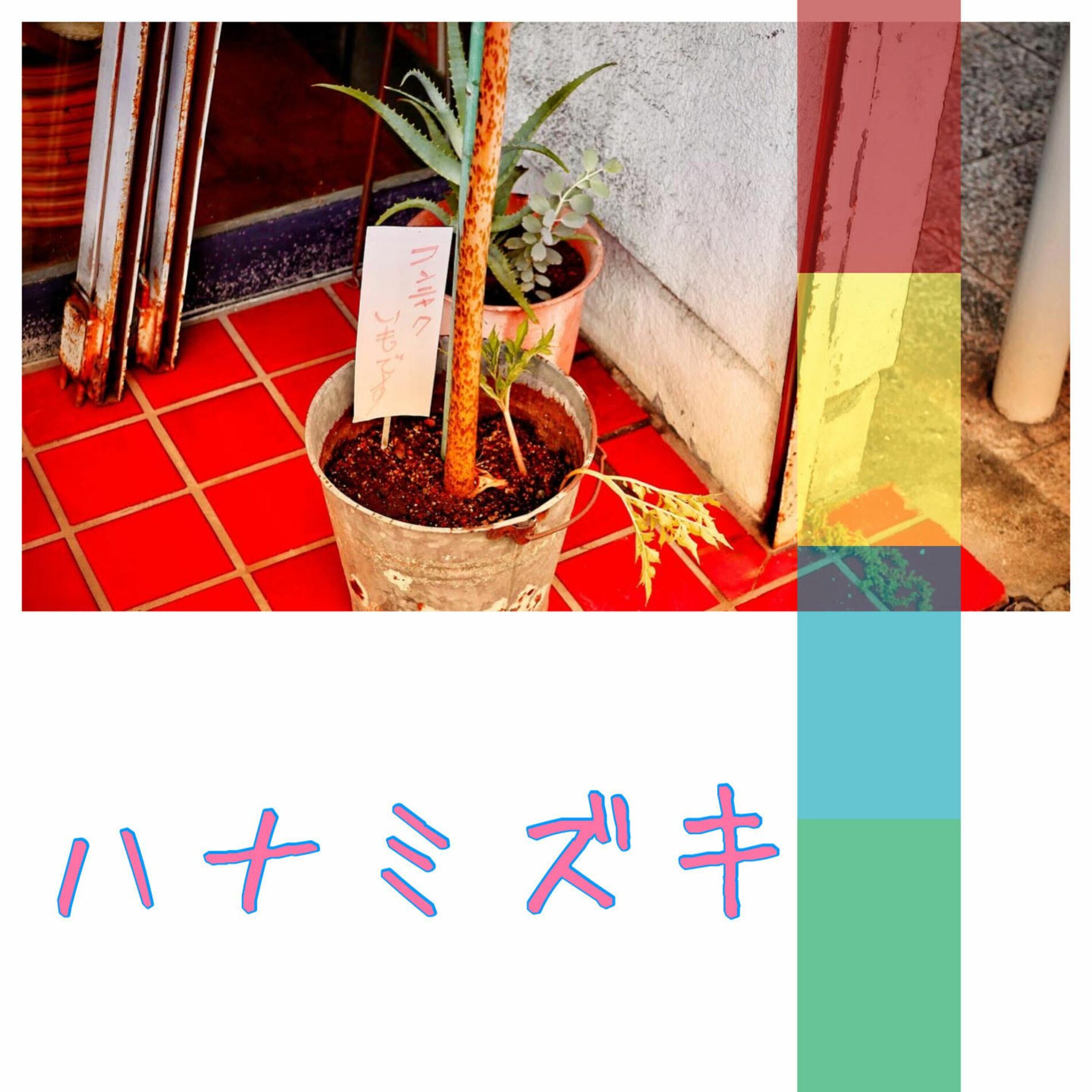 Album cover of Hanamizuki (feat. Yo Hitoto) [Cover]