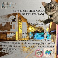 Cover of Soy Tu Silencio, Tu Tragedia, Tu Veladora.