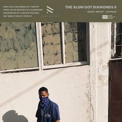 Cover of THE $LUM GOT DIAMOND$ ll