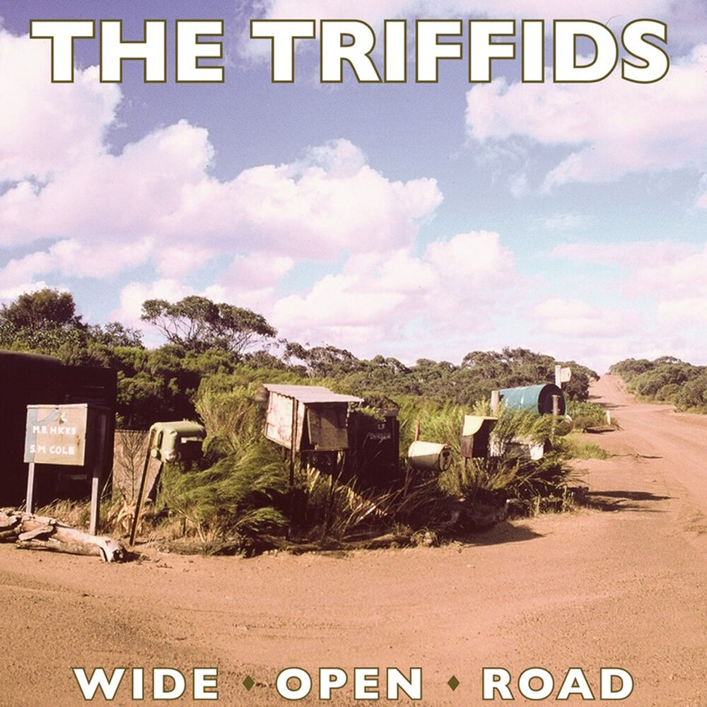 Picture of Wide Open Road