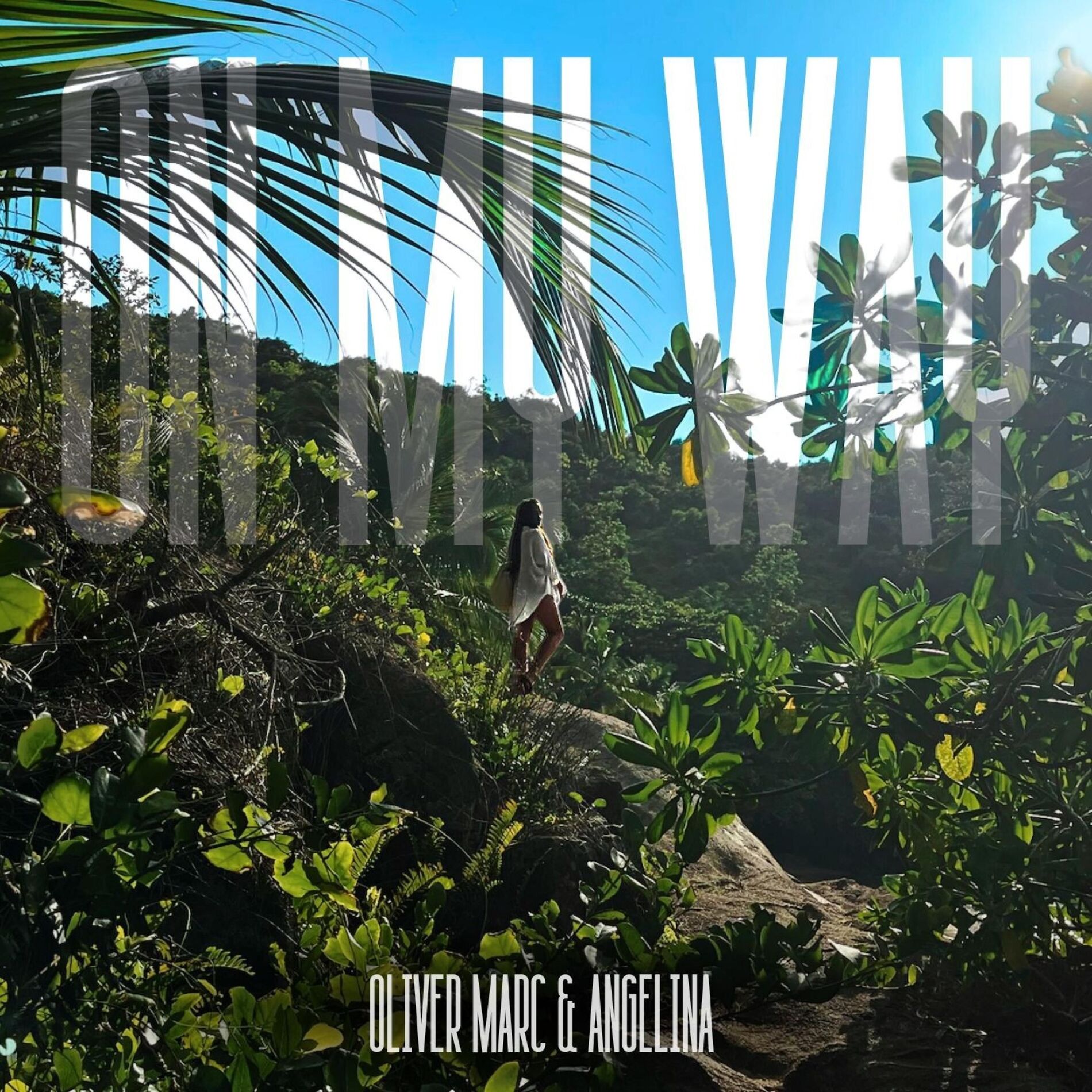 Album cover of On My Way (feat. Angelina)