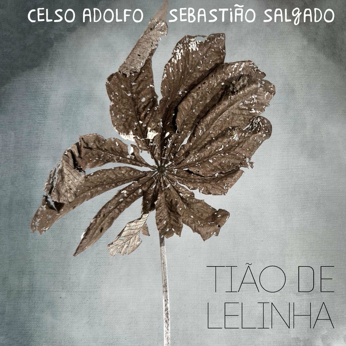 Album cover of Tião de Lelinha