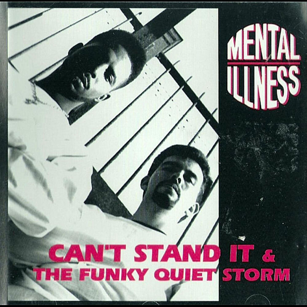 Picture of Can't Stand It / The Funky Quiet Storm