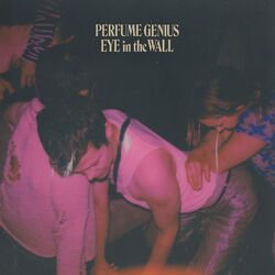 Cover of Eye in the Wall