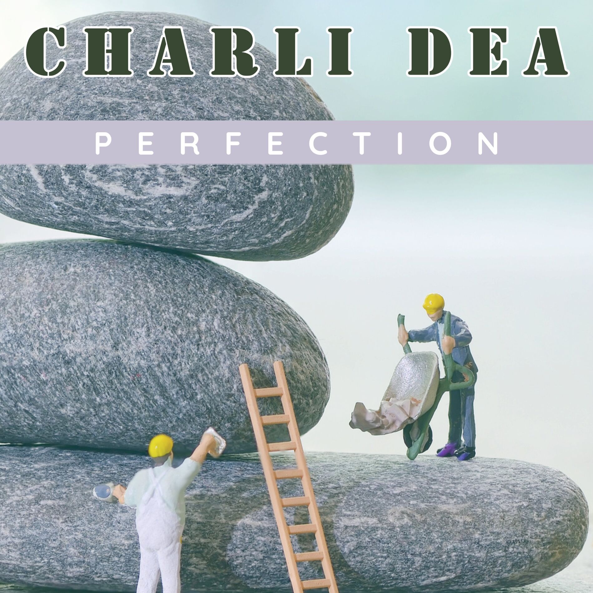 Album cover of Perfection
