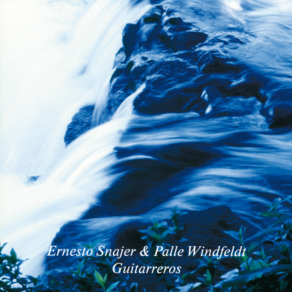 Picture of Guitarreros