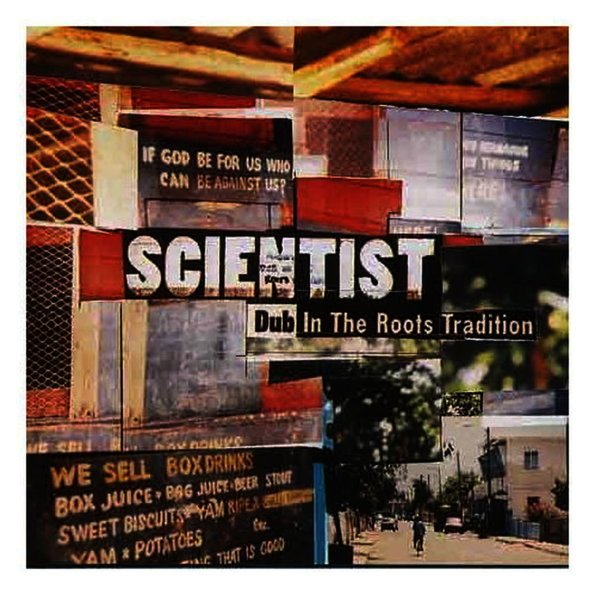 Album cover of The Scientist's Answer