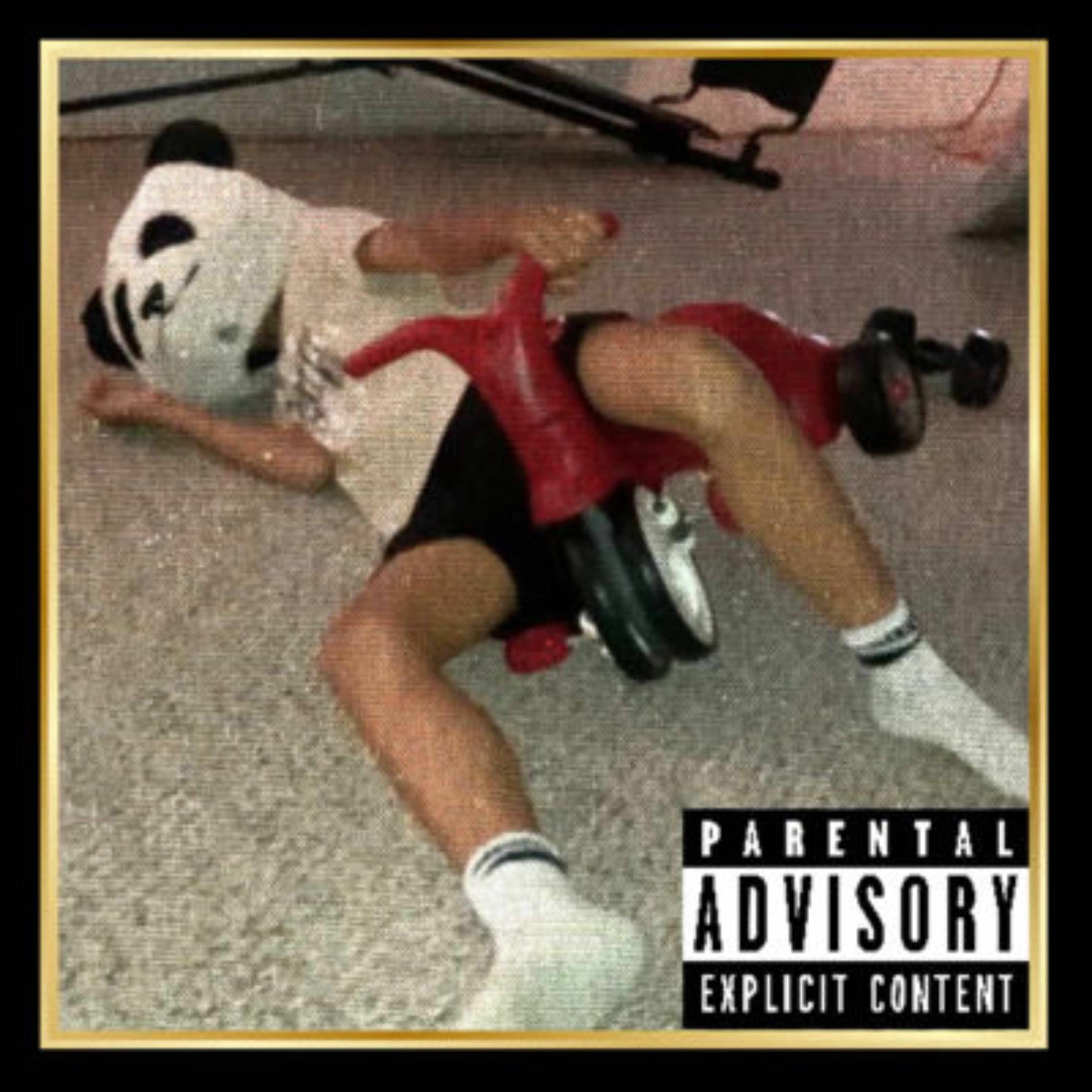 Album cover of PANDA