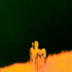 Cover of I Feel Strange