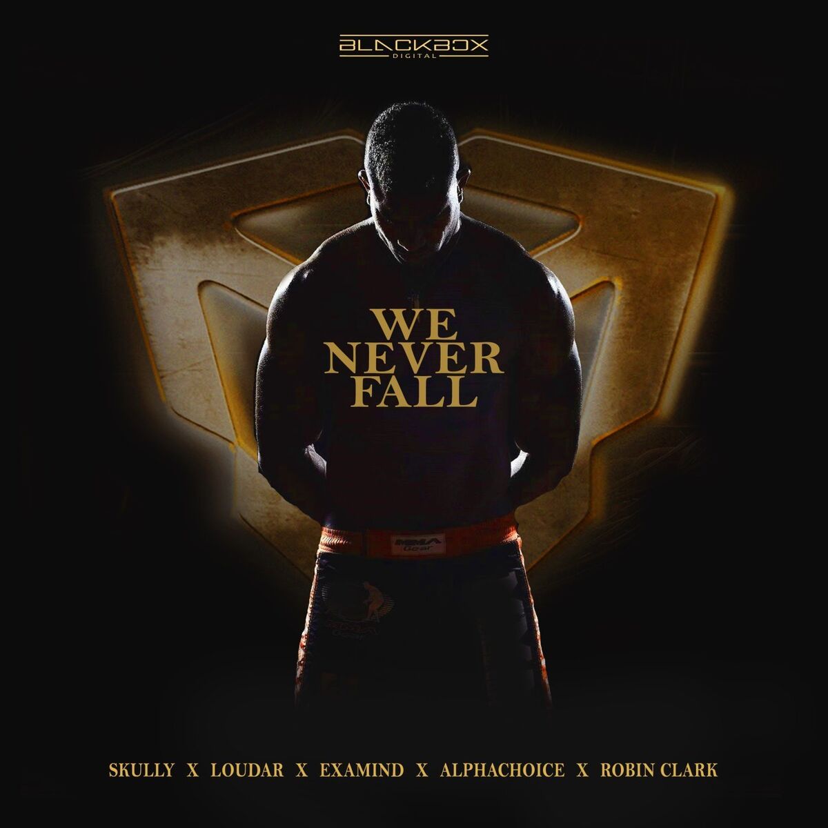Album cover of We Never Fall
