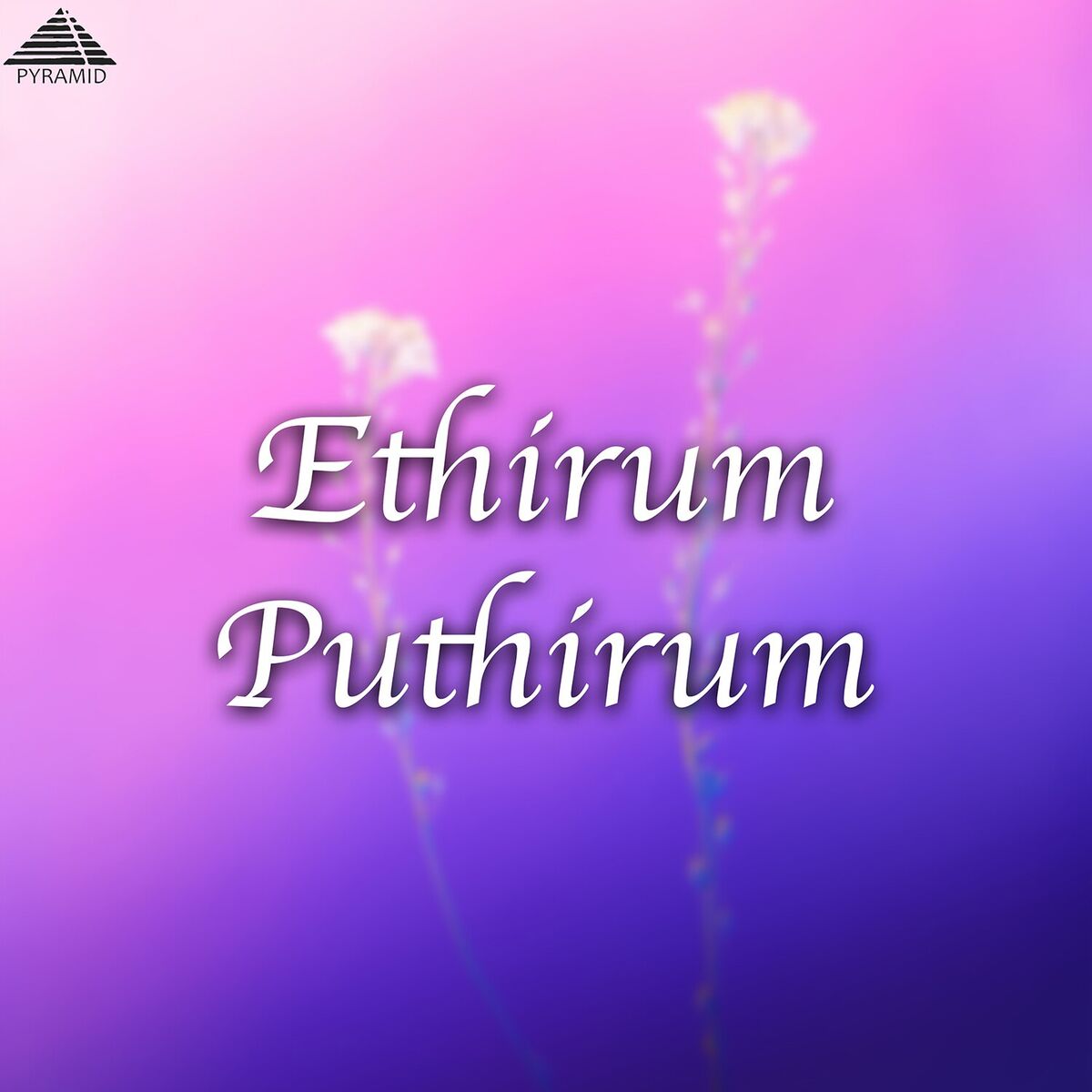 Album cover of Thottu Thottu Pesum (From 