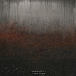 Cover of Eleventh Hour