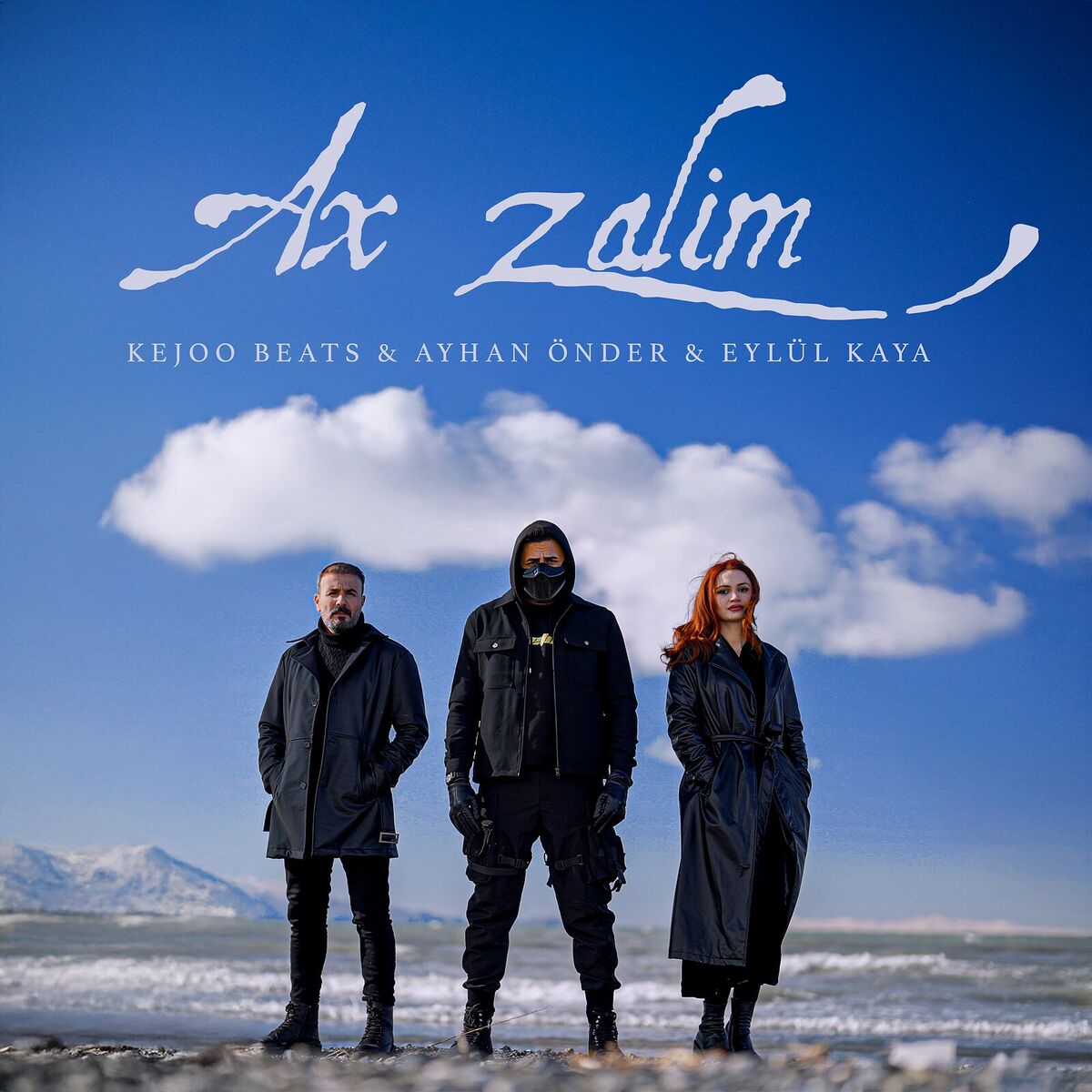 Album cover of Ax Zalim
