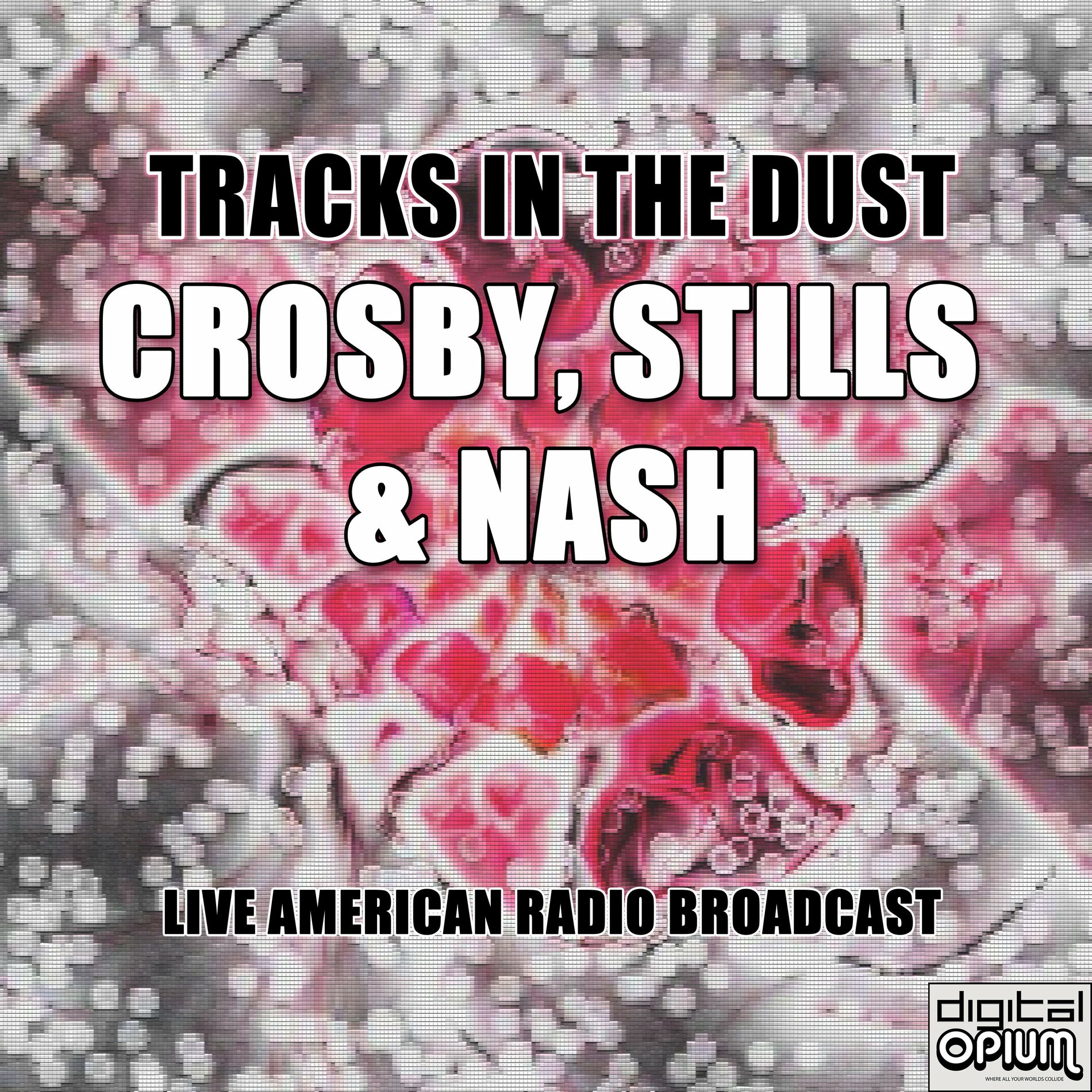 Album cover of Tracks In The Dust (Live)