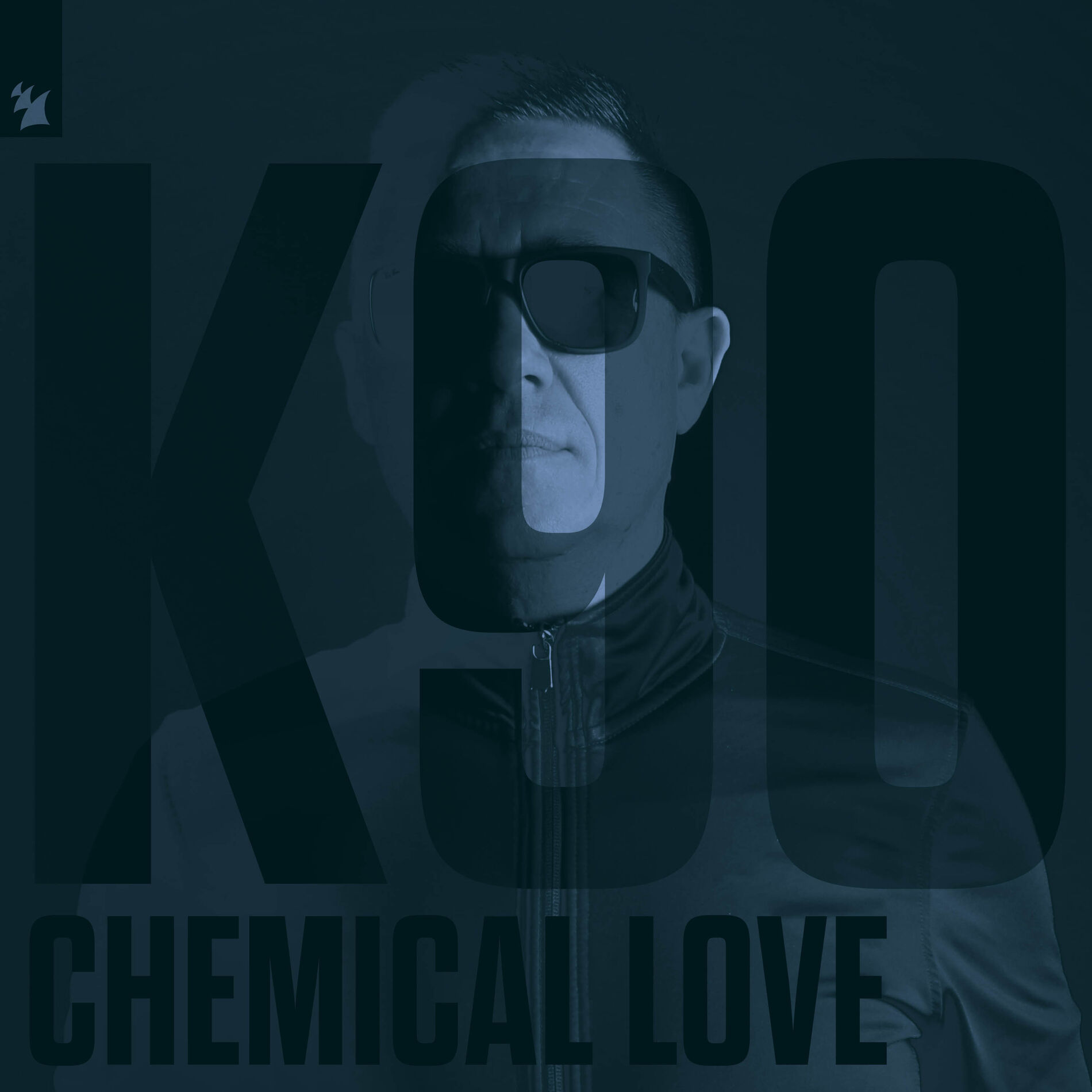 Album cover of Chemical Love