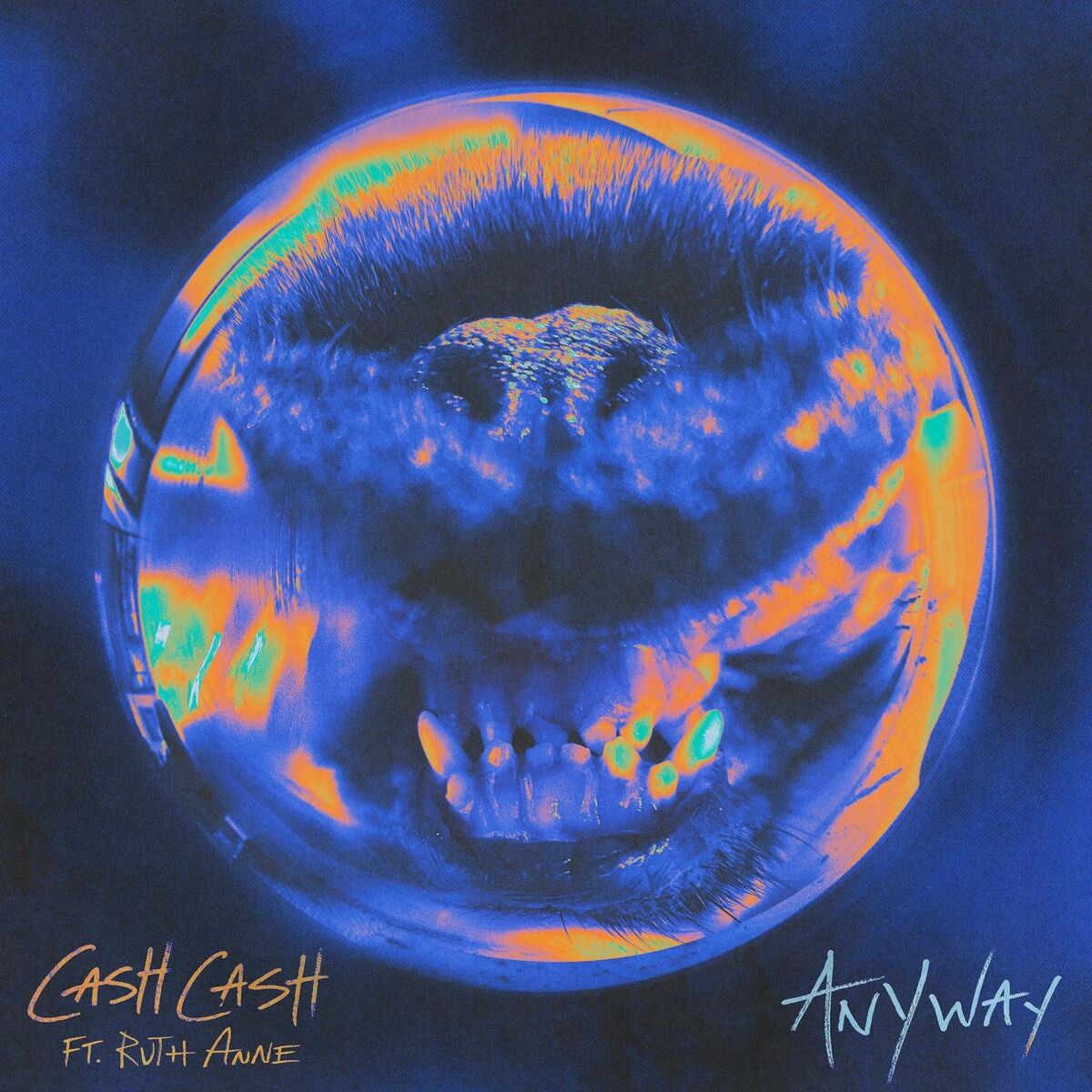 Album cover of Anyway (feat. RuthAnne)