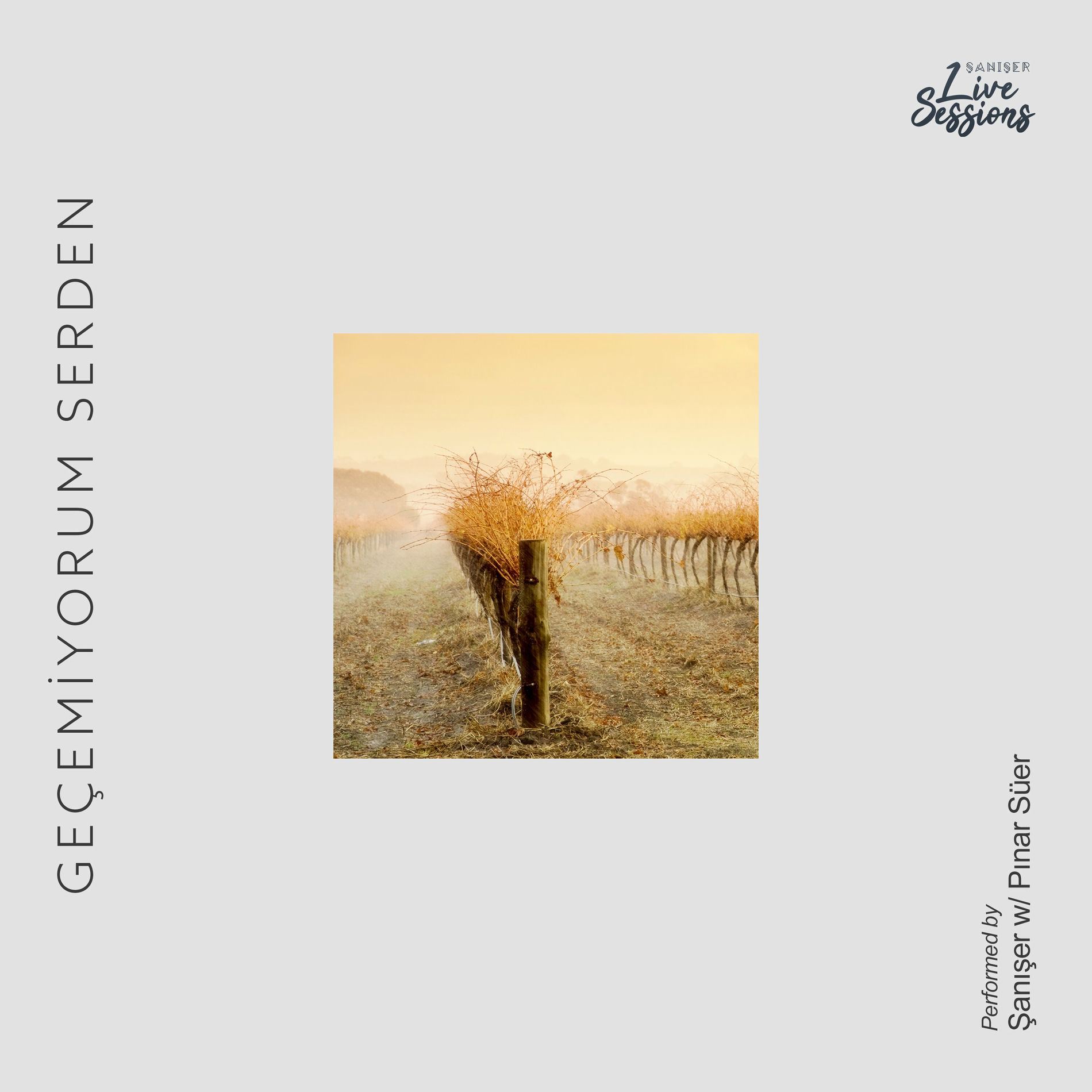 Album cover of Geçemiyorum Serden (Live)